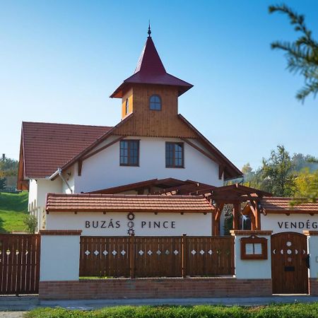 Buzas Pince Vendeghaz Ξενοδοχείο Ecséd Εξωτερικό φωτογραφία
